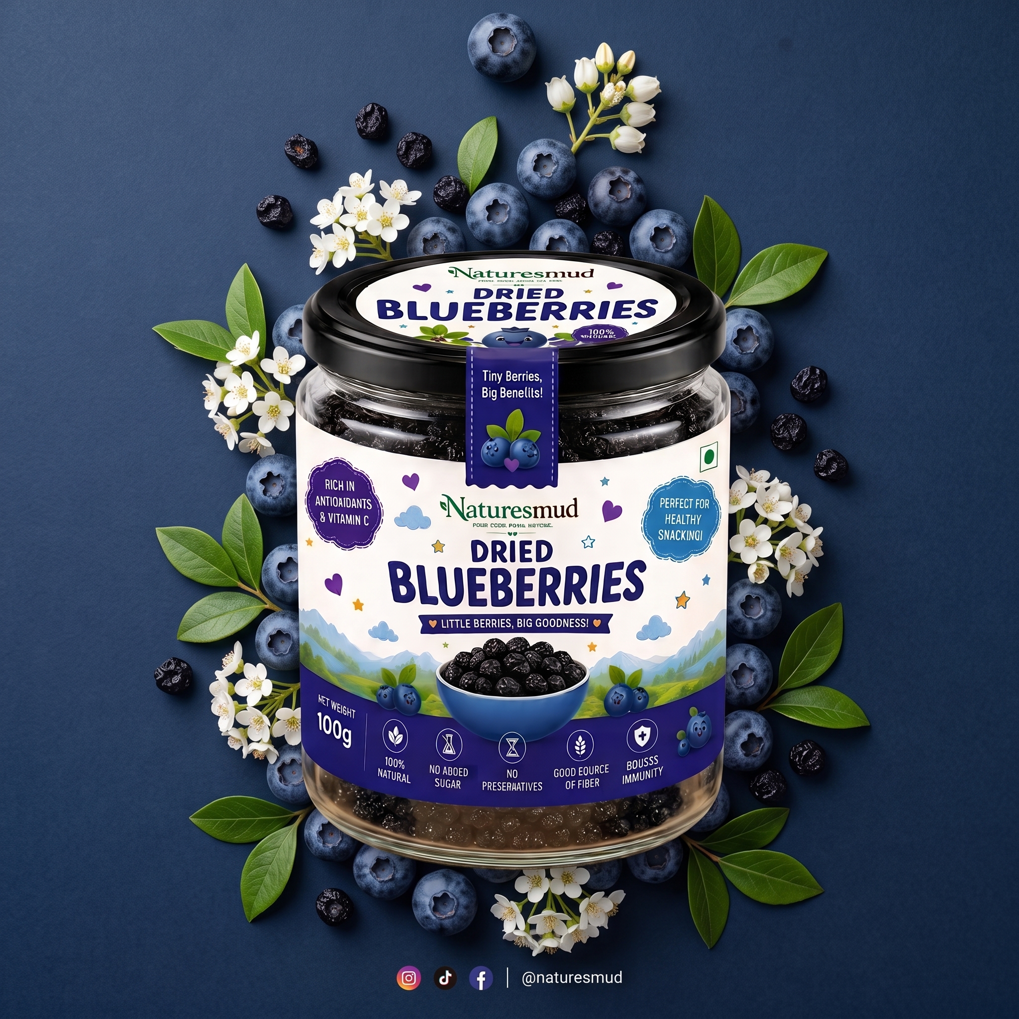 Dried Blueberries - Perspective View 9
